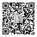 竹六科技订阅号